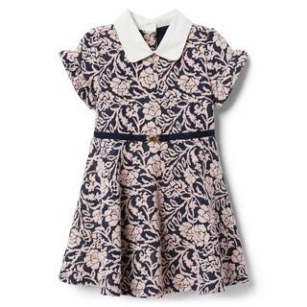 NWT Janie and Jack Rose Jacquard Collar Dress - Navy/Dusty Rose - Size 2T
